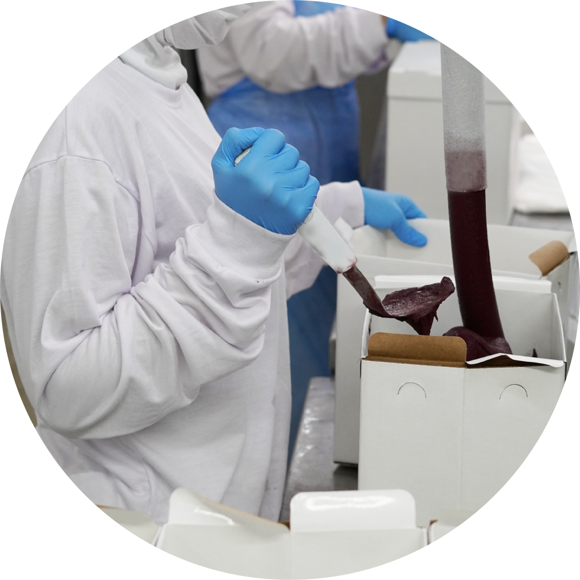 Açaí Town certified production facility