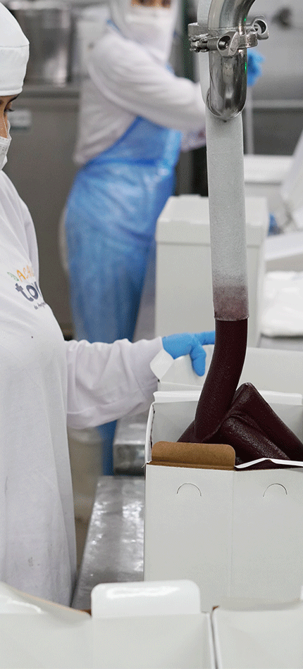 Açaí Town - Amazônia