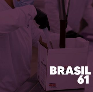 Histórias Exportadoras - Brasil 61