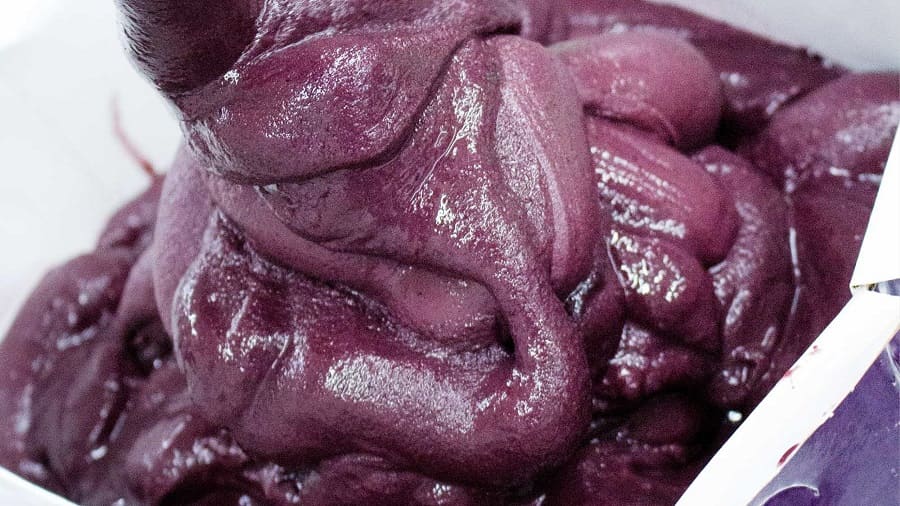 Açaí com Qualidade e Segurança